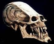 pic for Alien Skull